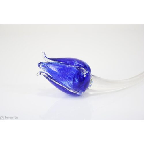 Loranto 'Glazen tulp blauw'