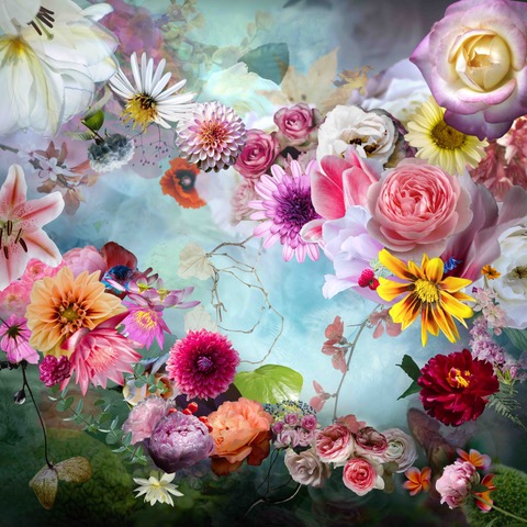 Marjon Trap photo 'Floating Flowers'
