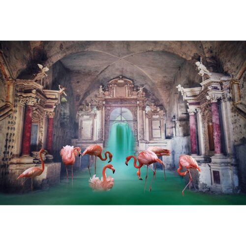 Foto op glas 'Flamingo's taking a bath'