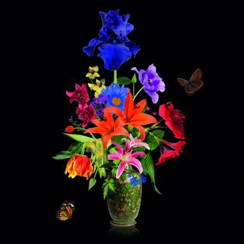 Foto AluArt 'Flower Vase III'