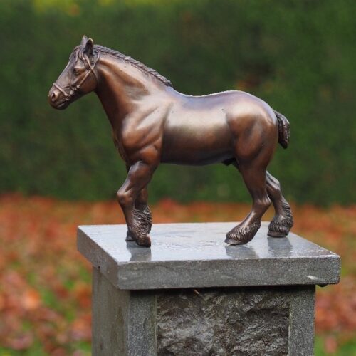 Bronzartes bronzen beeld 'Belgisch Trekpaard'