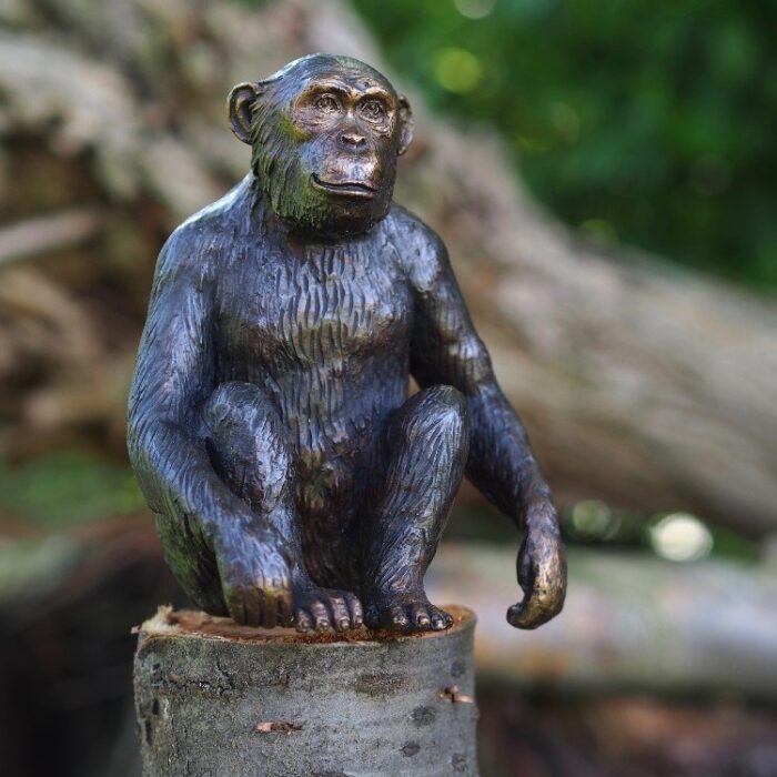 Bronzartes bronzen beeld 'Chimpansee'