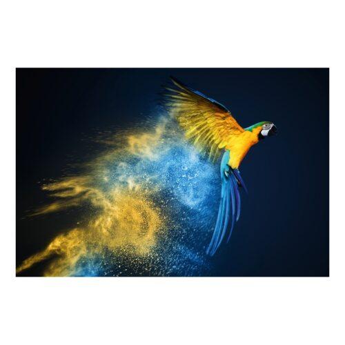Foto op plexiglas 'Flying parrot'