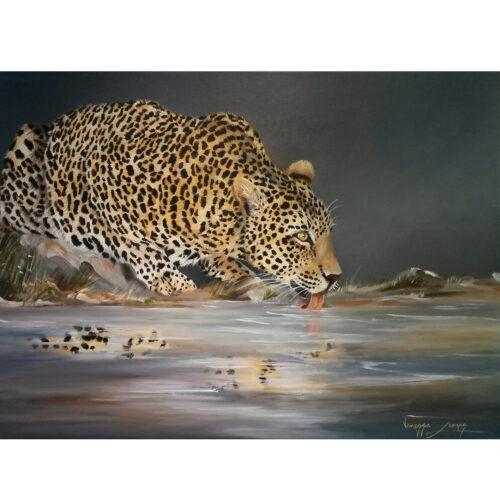 Vanessa Lomas schilderij 'Leopard drinking'