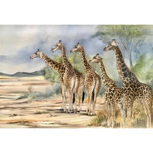 Vanessa Lomas schilderij 'Giraffe curiosity'